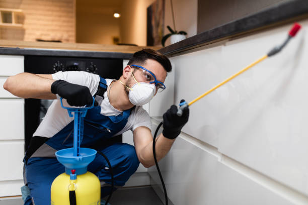 Best Local Pest Control Services  in Centralia, MO