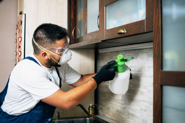 Best Flea Control Services  in Centralia, MO