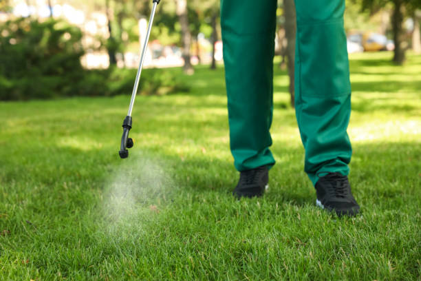Best Bed Bug Extermination  in Centralia, MO